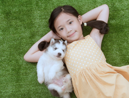 Toddler-142-Thumbnail-263x200-SWEETY-WEBSITE-ARTICLE-IMAGE-142