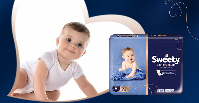 XL-Banner-Skin Premium