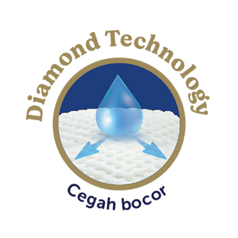 Diamond Layer Technology (1)