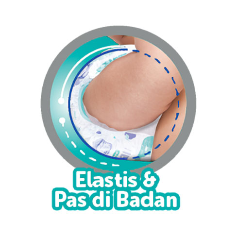 Elastis  Pas di Badan