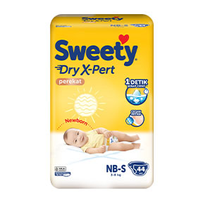 Dry xpert perekat